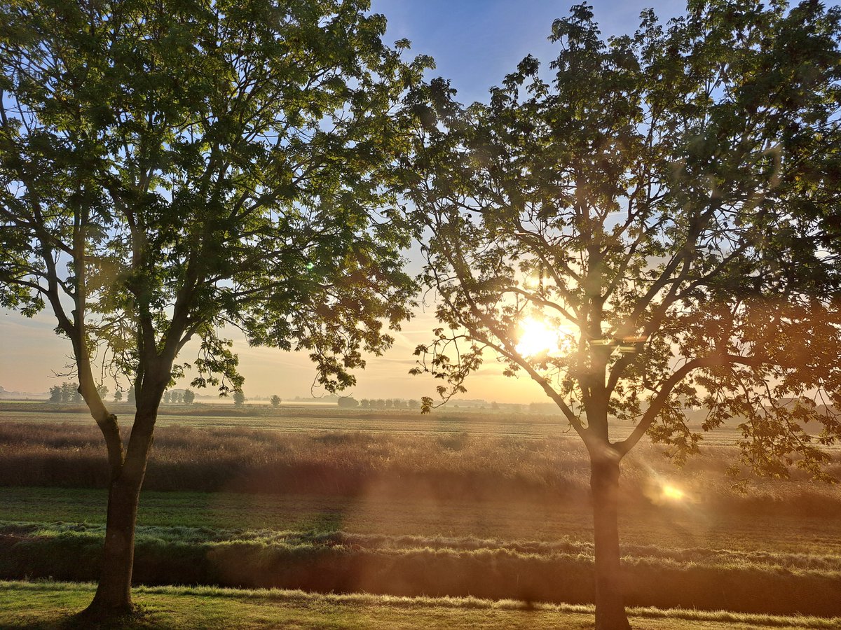 PolderPearls's tweet photo. #Goodmorning, a view like this never get boring 🧡 

#Polder #Sunrise https://t.co/RErC9hGuq7