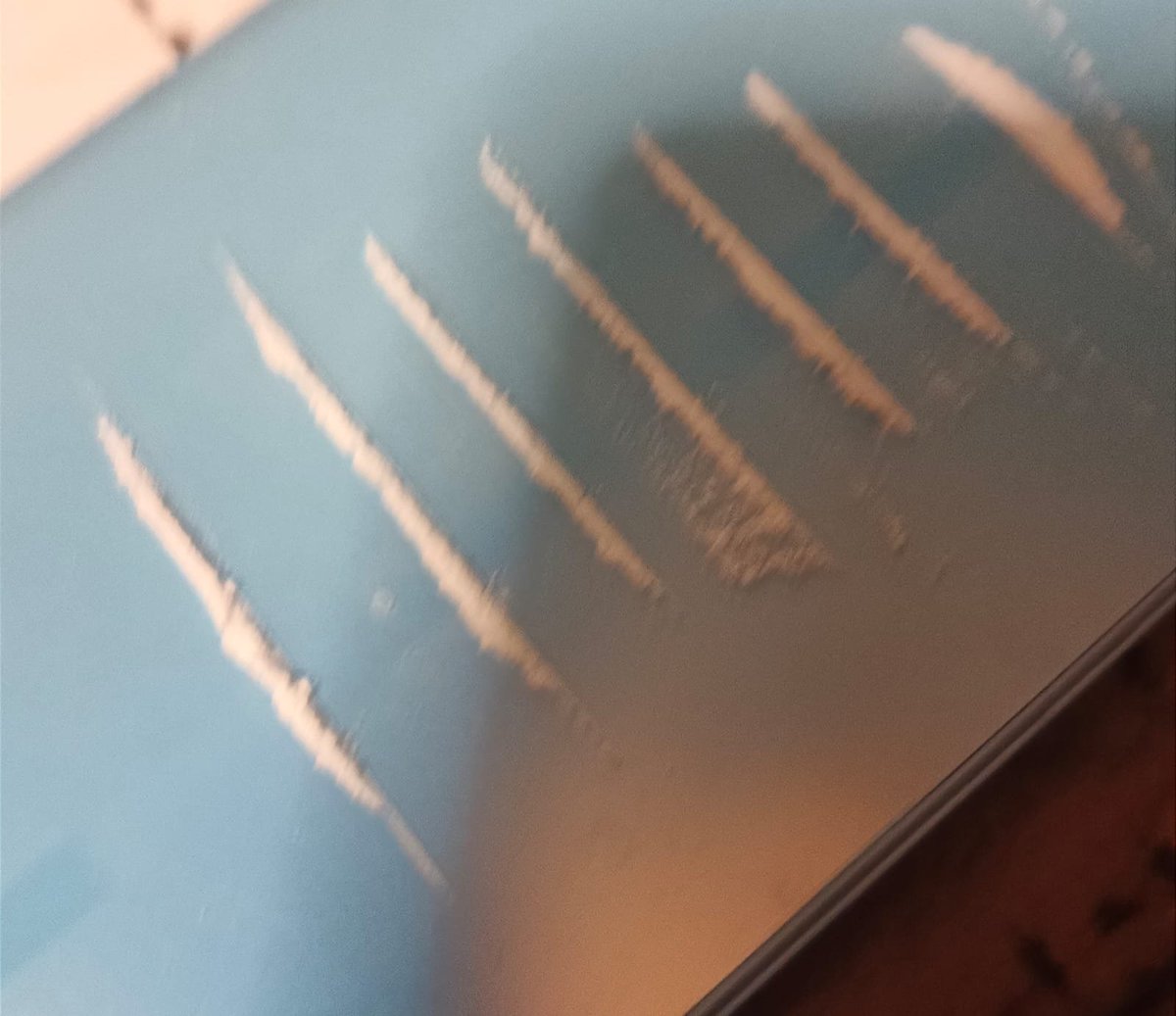 Francis15031315's tweet photo. Bueno pues valió verga dure como 3semanas limpio jajaj 😮‍💨🔥🦜
#methtwt #lines #drugstwt #subtwt #drugtwt #meta #coca #amigos #CDMEX #cdmx #mutis #krico #perico #perez https://t.co/dcO0uTJbi8