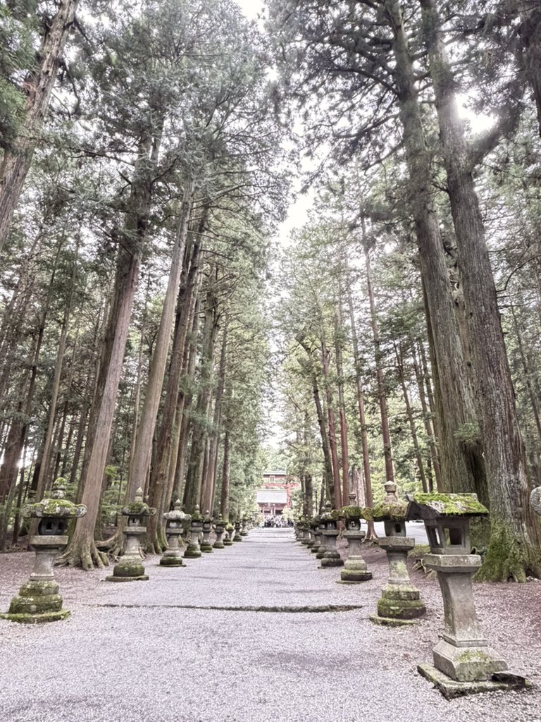 bestfuji's tweet photo. 今日の撮影 2026.10.02

クマを連れて
富士吉田の浅間神社へ行って来ました
久しぶりだったけど
幾分整備された感が

I took Kuma along
and visited Sengen Shrine in Fujiyoshida.
It had been a while,
but the place seemed somewhat better maintained. https://t.co/j62ODi9pUV