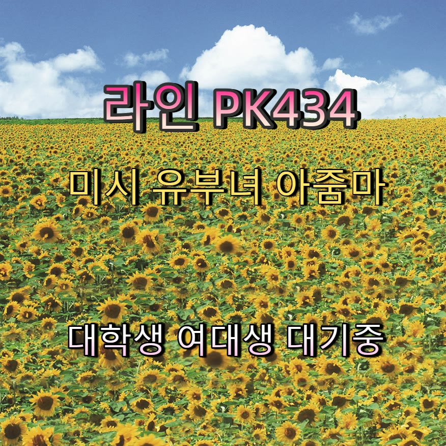 miiguelcp9's tweet photo. 🆓🏩

#고흥 #고흥만남 #ㅈㄱ

#고흥ㅈㄱ #만남 #조건

#건오 #일탈 https://t.co/vFjIIgSg53