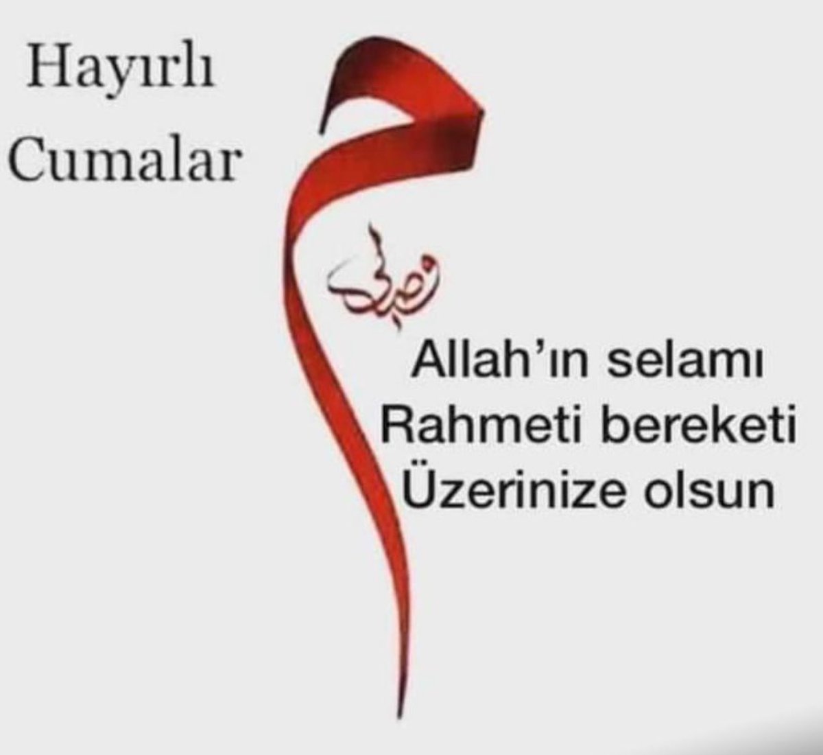verticallovely's tweet photo. @SERKANmqt Günaydın https://t.co/9RLhE4eOas