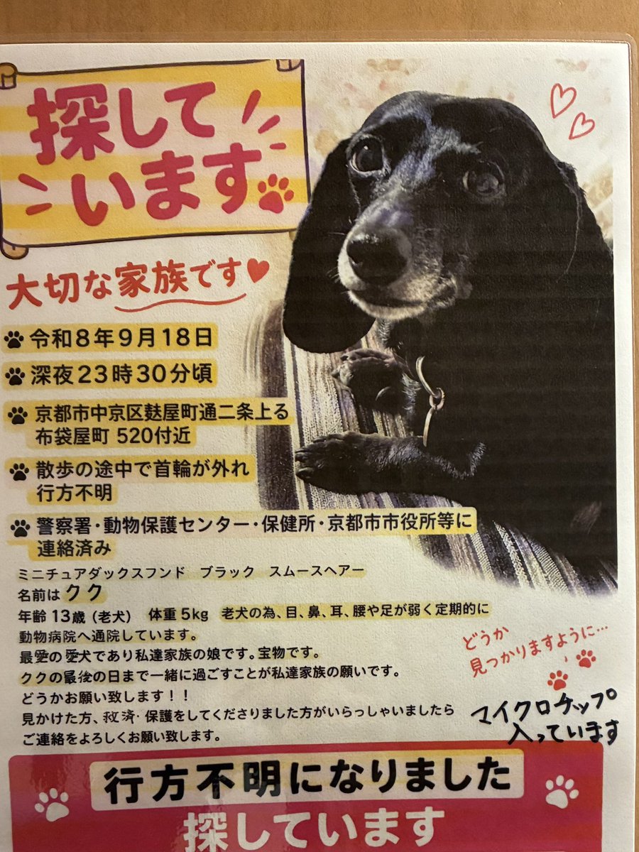 okuhide2's tweet photo. お��さんのわんちゃんなんですが、居なくなってしまいました
もしも見かけられましたら、ご一報いただけるとありがたいです🙏 https://t.co/kGc67zXuQ0