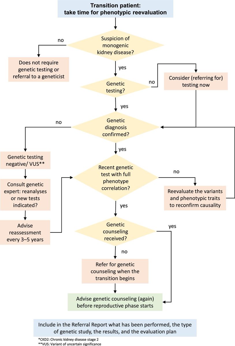 NDTsocial's tweet photo. Transition of patients with hereditary nephropathies from paediatric to adult care

https://t.co/9ftBRNP4eo

📸Schematic representation of decision-making processes involved in genetic diagnosis and counselling during the transition period https://t.co/EXR4veP4Et