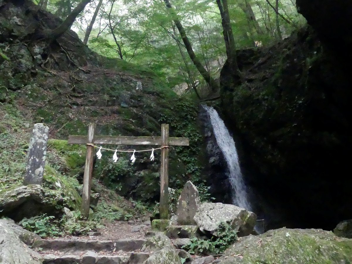 mitakevc's tweet photo. #ロックガーデン 調査に行って来ました！
先日の台風後はかなりの水量でしたが、現在はかなり水量が落ち着き、渡渉部分の岩の冠水はほぼありません。夏頃よりも水量が多いため、沢も滝も綺麗で見ごたえがありました♪
ただ、ぬかるみや道に水が流れる箇所もあるので、歩く際はご注意ください。
#御岳山 https://t.co/LoQ2clIkCE