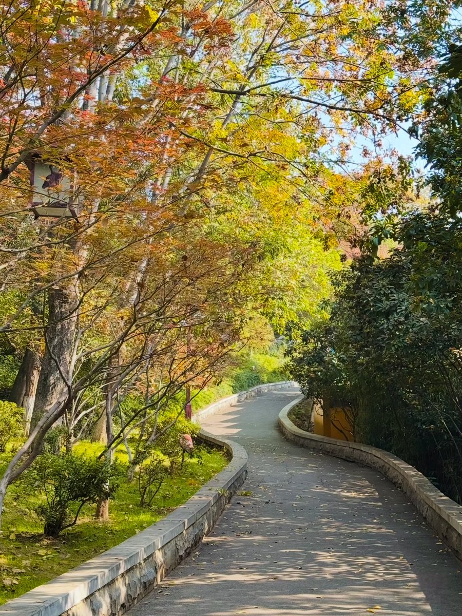 cames537180's tweet photo. This travel keeps me away from trivial annoyances, and I have no complaints about the nice days on the road. https://t.co/yhtToYHuuZ