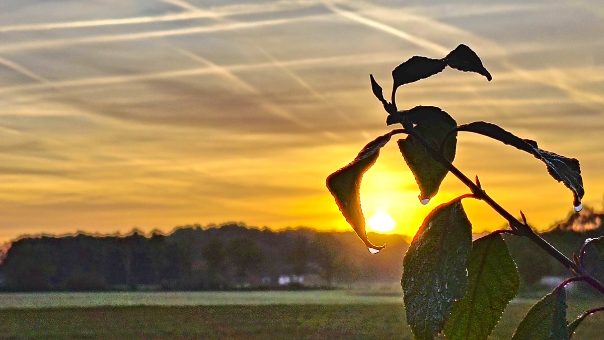 luclambert11's tweet photo. #vrtweer Luc Lambert 7u50 Ardooie zon en wolken    wind Z 20° https://t.co/Q1k6jIEeRR