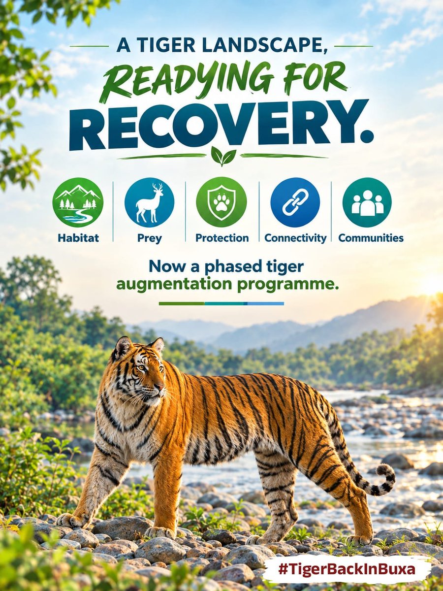 garimasinglv's tweet photo. Nature gives us another reason to celebrate as the tiger returns to Buxa, bringing hope for a greener future. #TigerBackInBuxa https://t.co/rOw2hHNLhm