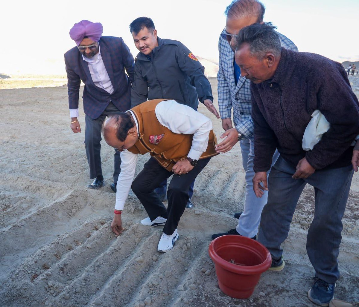 lg_ladakh's tweet photo. I am pleased to announce an ambitious experiment of introducing  saffron cultivation to Ladakh, for the very first time, on a large scale. 

Building on the incredible success of our highest-altitude Lilium fields, we have sown 800 kg i.e 90,000 nos of premium, high-quality Iranian saffron corms, perfectly suited to our unique high-altitude agro-climatic conditions.

The saffron cultivation is being done over 4000 sq meters of previously barren land at Spituk Pharka in Leh, that has been successfully rejuvenated and transformed under project Him Sarovar.

This landmark initiative is driven by Hon’ble PM Shri @narendramodi Ji’s vision of agricultural diversification for farmers’ financial sustainability and financial empowerment. 

This pioneering project has immense potential to strengthen our local economy, creating lucrative and sustainable new livelihood opportunities for our hardworking farmers, youth, and Self-Help Groups.