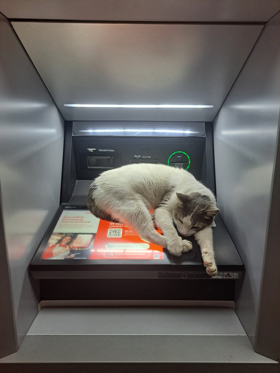 TraderGs34's tweet photo. Hayırlı cumalar güzel insanlar👋

Bir gün bizde böyle paranın üstünde uyurmuyuz sıcacık yeri bulmuş ne güzel uyuyo🤣

#kadememeclisinişi 
#borsa 
#bist100
#bist https://t.co/wxf1ymmqv2