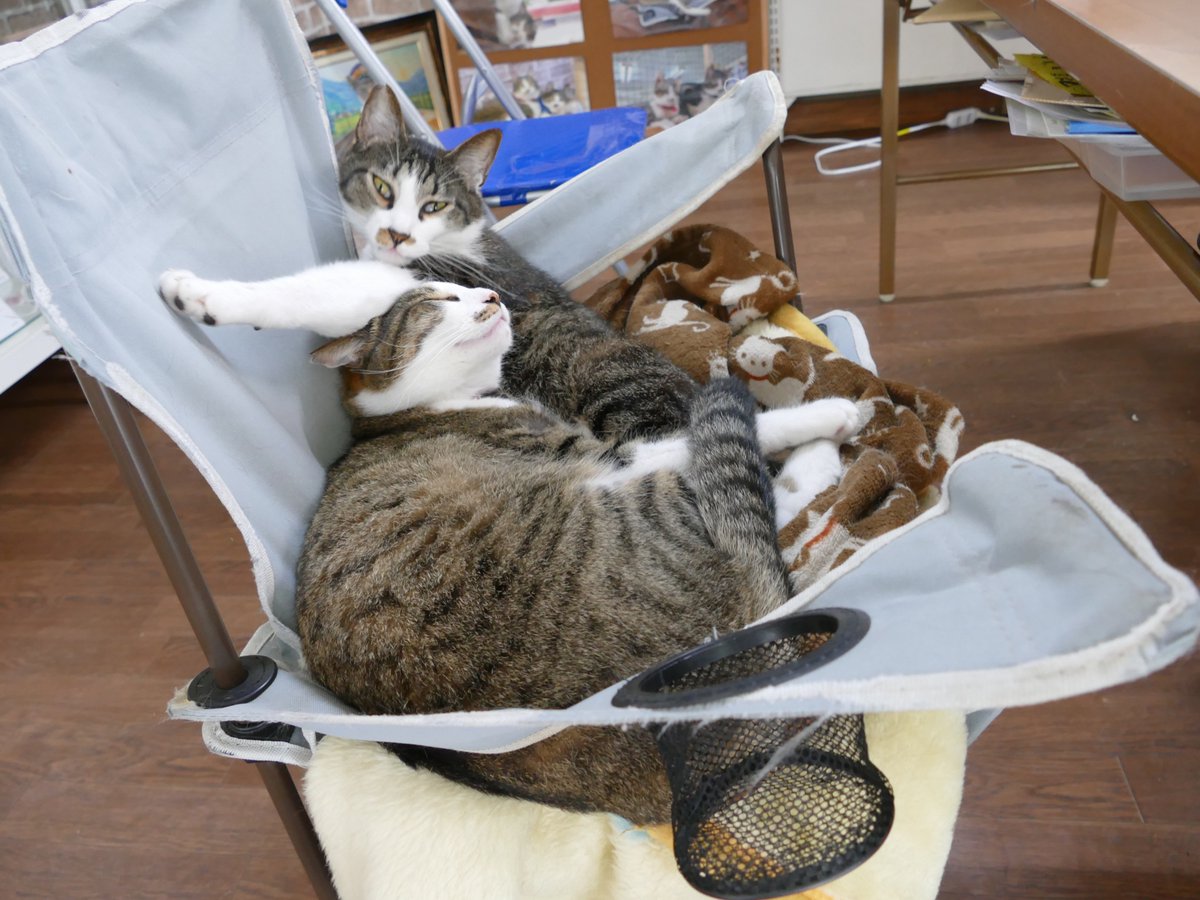 ekicyou_ryouma's tweet photo. 本日も
「やまと・ちどりカレンダー」で選考に漏れた
NG写真をお送りします！ https://t.co/V20zLAwdte