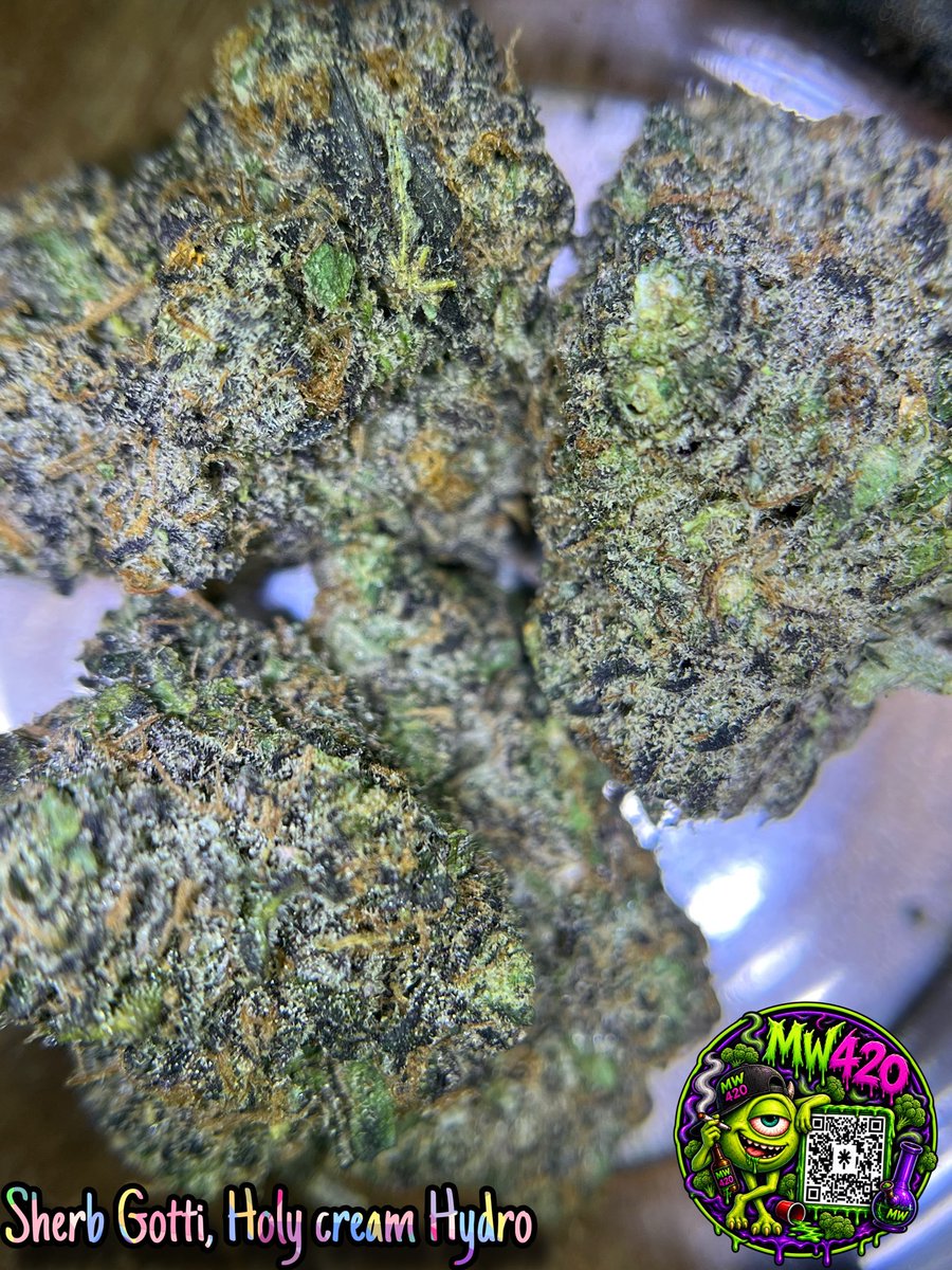 Miguelcuatro710's tweet photo. Sherb Gotti, indica hydro, Holy cream. #SherbGotti #HydroFlowers #HolyCream #Sativa #CDMX #DealerShip #DealeraDomicilio #420friendly #420swingers https://t.co/RoEEO1f0BS