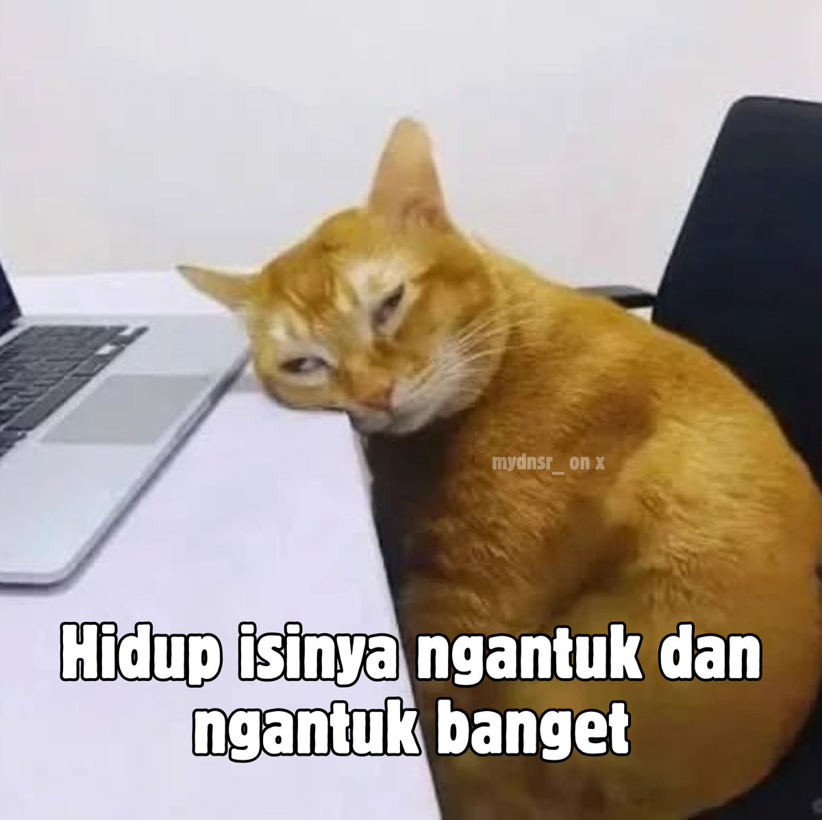 mydnsr_'s tweet photo. 💤 https://t.co/k9OpBfL1G6