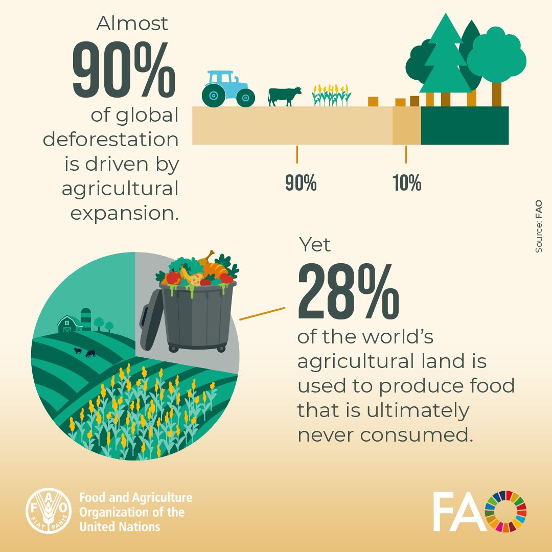 GlobalGoalsUN's tweet photo. Almost 90% of global deforestation is driven by agricultural expansion. Yet 28% of the world's agricultural land is used to grow food that is ultimately never eaten.
We must act now to #StopFoodLossWaste.
https://t.co/4yOSphsYVw 
@FAO https://t.co/DKOJlxEYol
