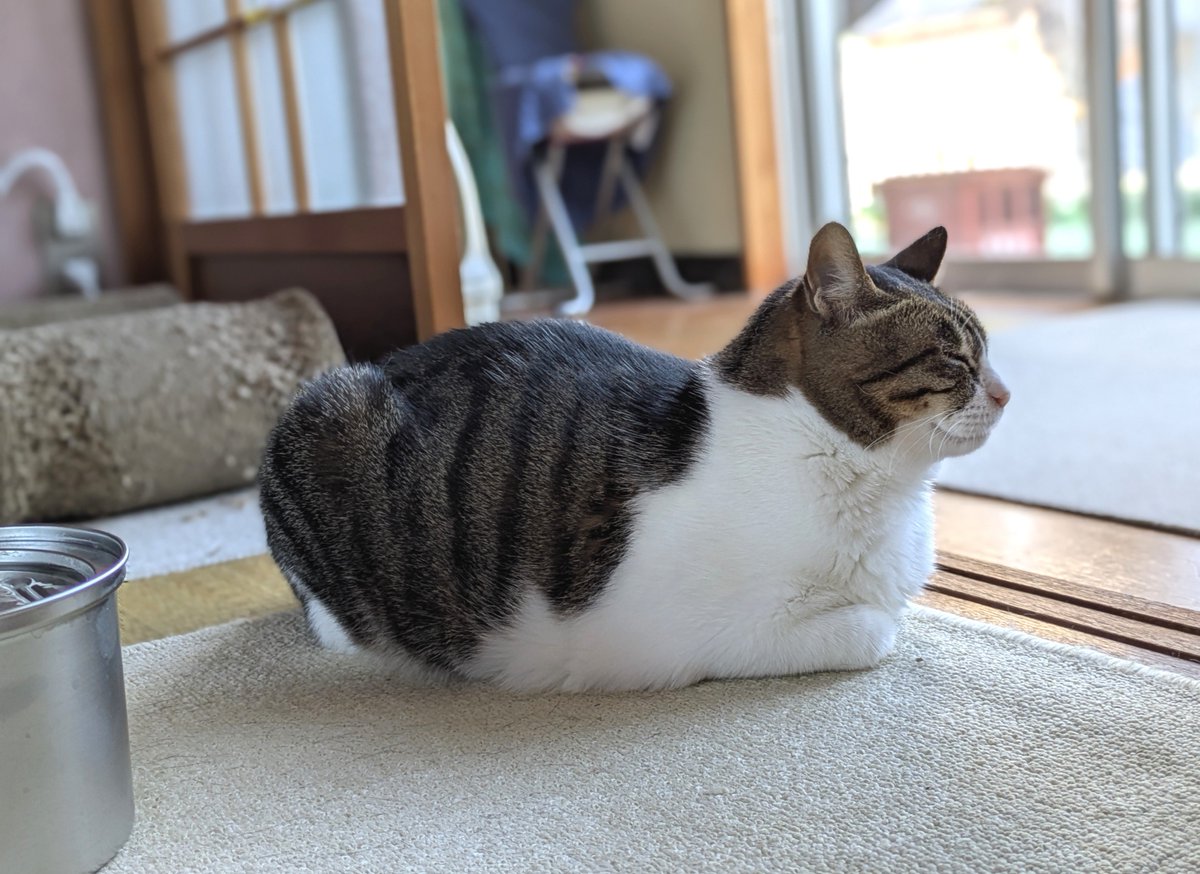 Id_with_'s tweet photo. 美しいお手々ないない https://t.co/1ubDMDXA82