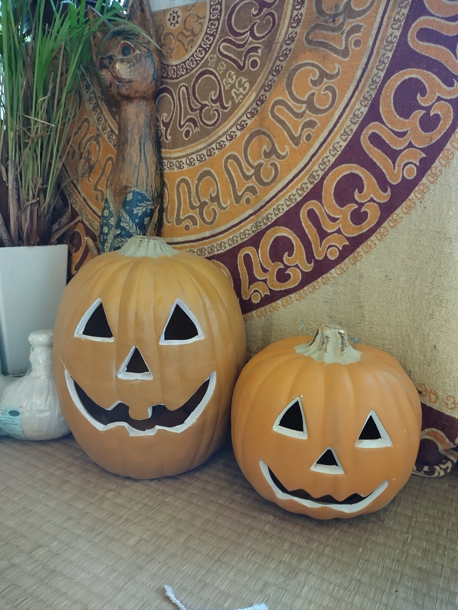 YUYAMINOWA's tweet photo. ミノワッチ開店！本日もよろしくお願いします。ハロウィン🎃を出したぞ。地域最安ゆるめなコース30分2000円。老若男女歓迎。是非お越し下さいませ！ #横浜市 #マッサージ #東神奈川 #東白�� https://t.co/CDpNcZQmEp https://t.co/RVjb0gz9Jl