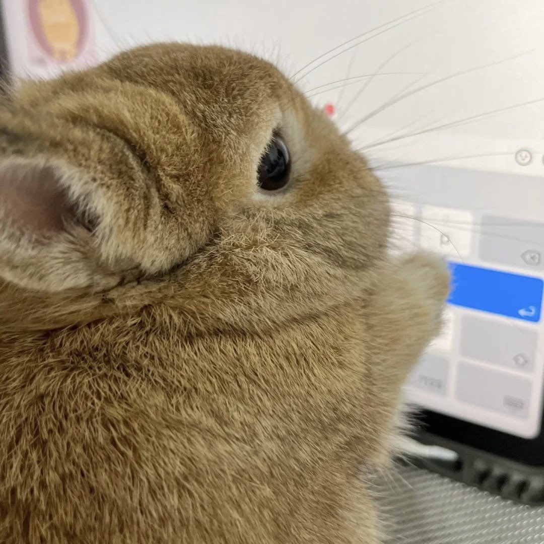 moekeonho's tweet photo. https://t.co/JQAW2IgrkF