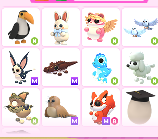 archemely's tweet photo. SELLING ALL MY ADOPT ME PETS AN ROYALE HIGH ITEMS/DIAMONDS (1.9M diamonds) FOR 900 ROBUX (i have more rh and adopt me items I can add, just didn't want to take that many screenshots LOL)

NGF BTW

#royalehigh #adoptme #cheap #crosstrading #diamonds #trade #roblox #headless https://t.co/W5Ex7hFnDr