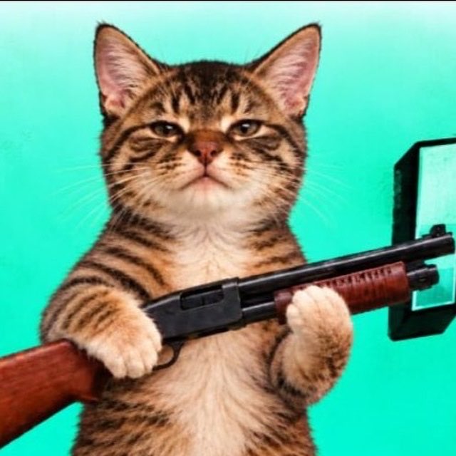 pumpcatcoins's tweet photo. $Pumpcat ain’t fumbling this lore it’s actually a Legendary meme lfg https://t.co/AtHAcfYjrS