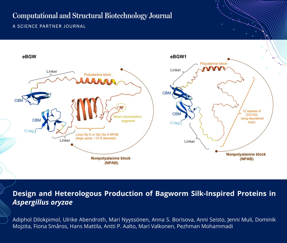 CSB_Journal's tweet photo. 🔗 Design and Heterologous Production of Bagworm Silk-Inspired Proteins in Aspergillus oryzae. https://t.co/jQa6ZLtC8R

📚 CSBJ - A Science Partner Journal: https://t.co/KwJ0GnNKAa

@VTTFinland @CSB_Journal @SPJournals #SyntheticBiology #ProteinEngineering #MaterialsScience #Silk https://t.co/5jeaPy21O0