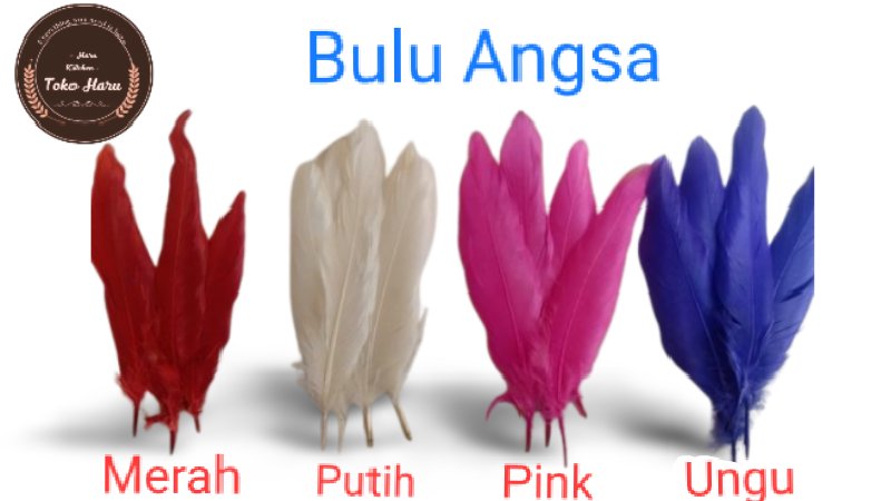iny_zhao's tweet photo. Bulu Angsa Asli – Isi 10 pcs 🪶
Bulu angsa asli dengan pilihan warna menarik. Cocok untuk kerajinan, dekorasi, aksesoris, dan berbagai kebutuhan kreatif.

 📦 Isi: 10 pcs
 🎨 Warna: pilih saat checkout
 ✨ Bulu asli, ringan &amp; cantik

https://t.co/ZsJfx6mZtv https://t.co/bfqROic4rR