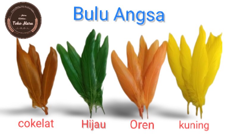 iny_zhao's tweet photo. Bulu Angsa Asli – Isi 10 pcs 🪶
Bulu angsa asli dengan pilihan warna menarik. Cocok untuk kerajinan, dekorasi, aksesoris, dan berbagai kebutuhan kreatif.

 📦 Isi: 10 pcs
 🎨 Warna: pilih saat checkout
 ✨ Bulu asli, ringan &amp; cantik

https://t.co/ZsJfx6mZtv https://t.co/bfqROic4rR
