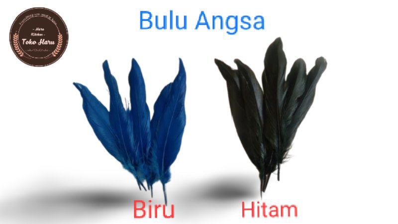 iny_zhao's tweet photo. Bulu Angsa Asli – Isi 10 pcs 🪶
Bulu angsa asli dengan pilihan warna menarik. Cocok untuk kerajinan, dekorasi, aksesoris, dan berbagai kebutuhan kreatif.

 📦 Isi: 10 pcs
 🎨 Warna: pilih saat checkout
 ✨ Bulu asli, ringan &amp; cantik

https://t.co/ZsJfx6mZtv https://t.co/bfqROic4rR