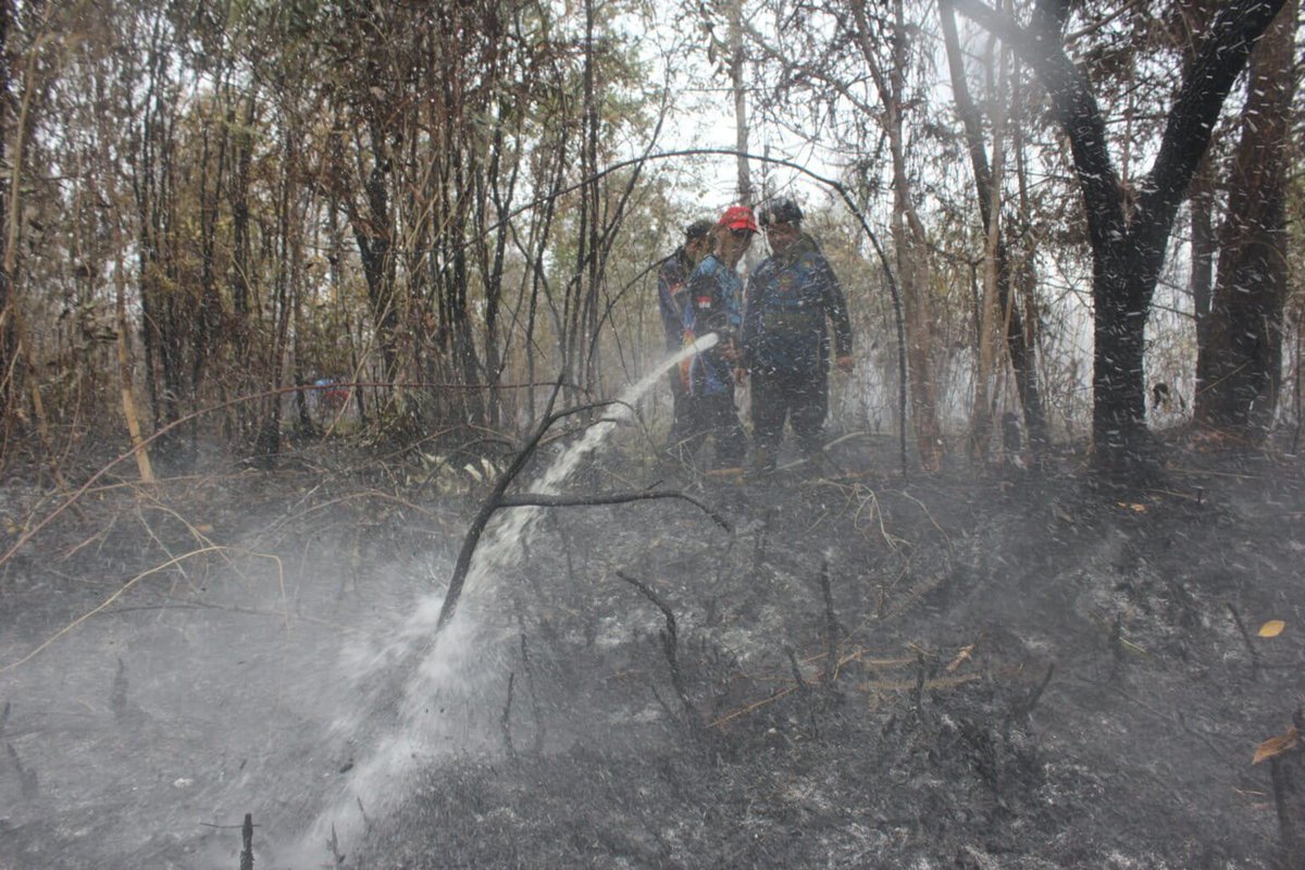 MongabayID's tweet photo. Bencana kebakaran hutan dan lahan (karhutla) melonjak drastis di Tanah Papua dengan luas area terbakar menembus lebih dari 30.000 hektar sepanjang 2026. https://t.co/bGeiSOhigC