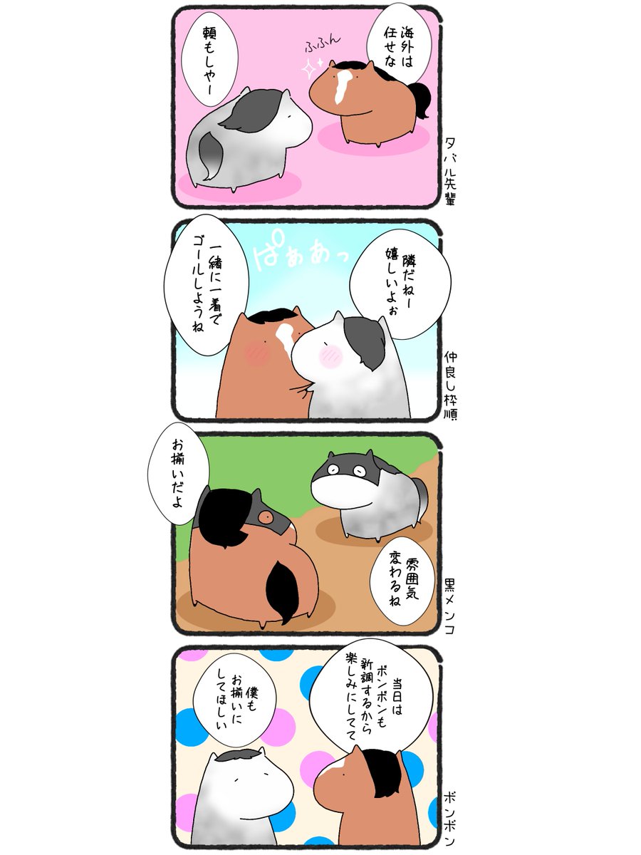 oru_umalove's tweet photo. 凱旋門賞に向けて仲良く調整中の
メイショウタバルとアドマイヤテラ

可愛さに磨きがかかります🩷💙🩵💙

#メイショウタバル
#アドマイヤテラ https://t.co/VySOMfcJl4
