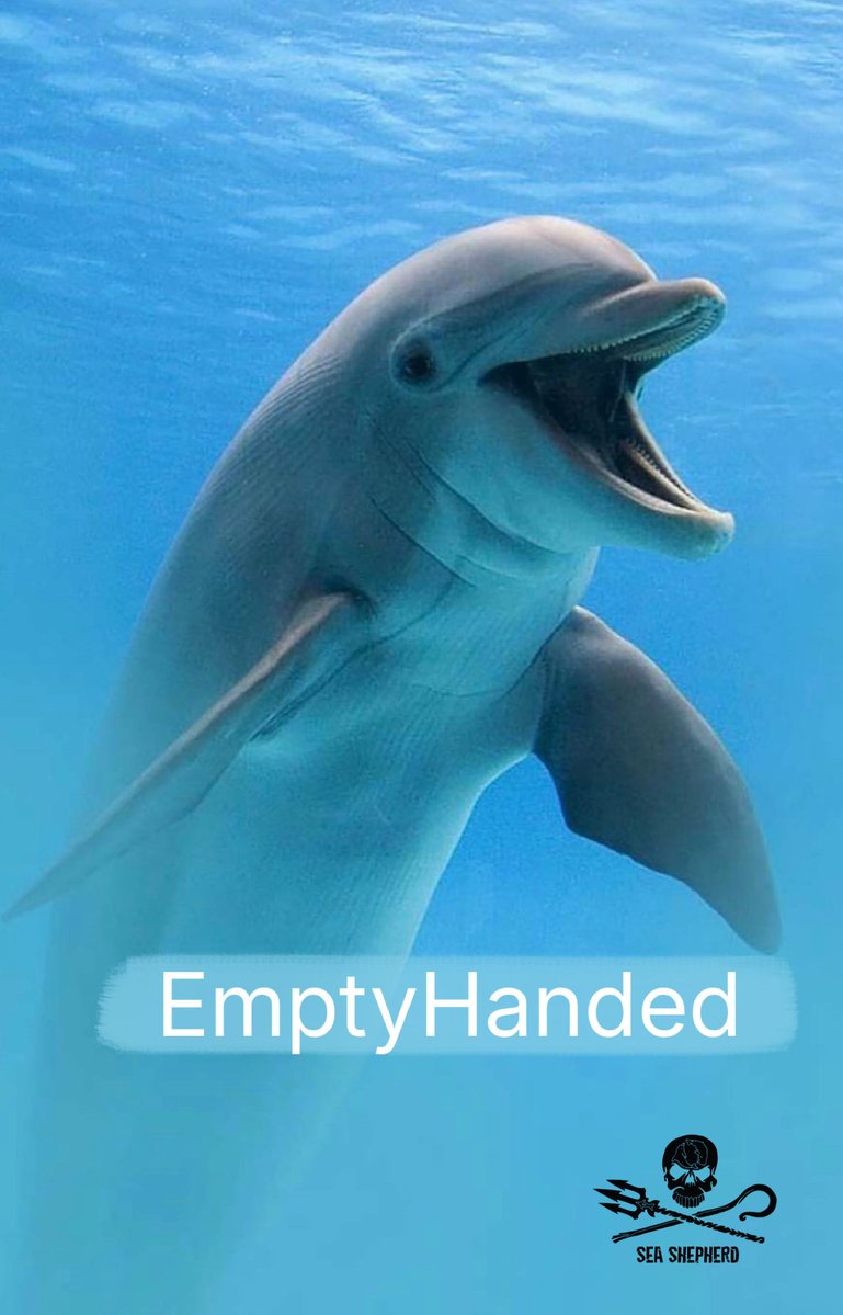 moejunko's tweet photo. #BlueCove 🩵
#EmptyHanded
#太地
2026 Oct,2nd Fri
手ぶらで戻りました。
今日も野生のイルカは安全です🐬
@POTUS
@takaichi_sanae
@KunitoSeko https://t.co/MRdw3lVBxH