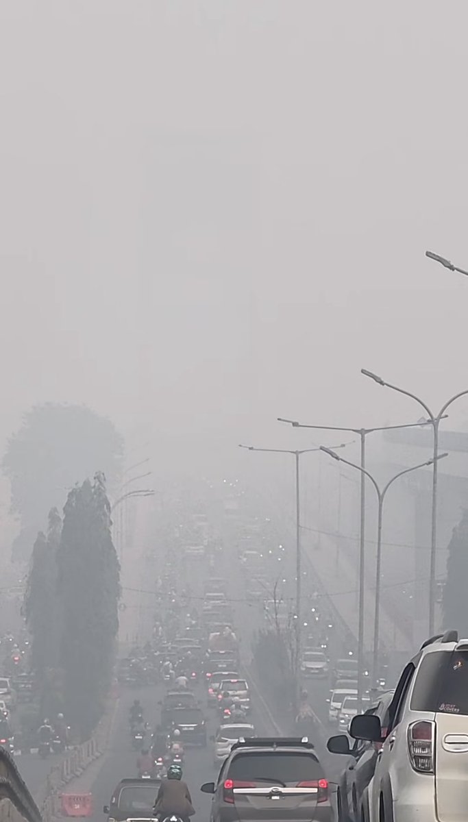 acamhrnii's tweet photo. halooo temen2 minta doanya semoga palembang cepat sembuh dan segera hujan. 
makin hari kabut asap di palembang ini makin parah, udah di tahap pake masker ga ngaruhh, asep masuk ke dalem rumah bahkan kamar dan kasus ispa melonjak
#sumsel  #karthula #darurat https://t.co/3gfSF0Jj4F