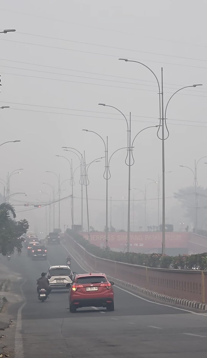 acamhrnii's tweet photo. halooo temen2 minta doanya semoga palembang cepat sembuh dan segera hujan. 
makin hari kabut asap di palembang ini makin parah, udah di tahap pake masker ga ngaruhh, asep masuk ke dalem rumah bahkan kamar dan kasus ispa melonjak
#sumsel  #karthula #darurat https://t.co/3gfSF0Jj4F
