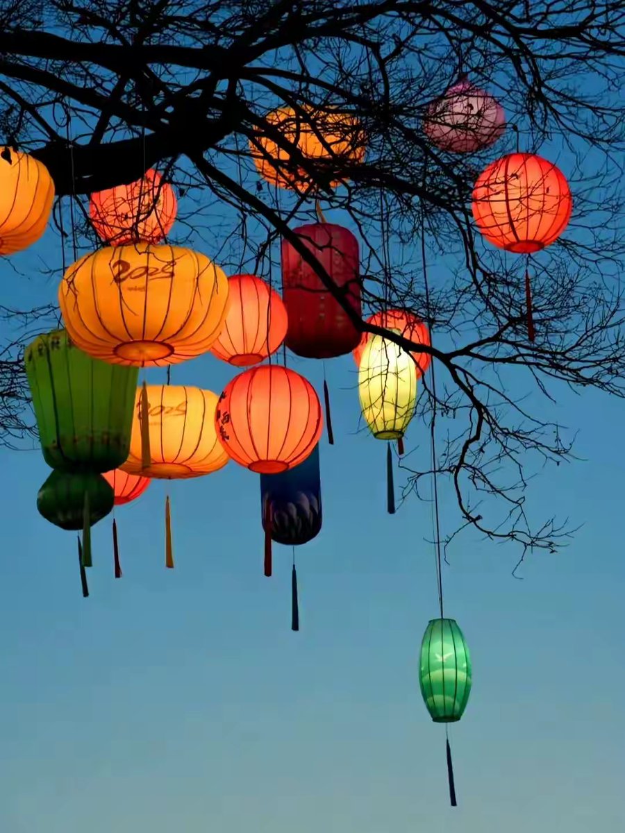 steve86_28's tweet photo. "At the 灯由市藤霖 night market, glowing lanterns hang from every wisteria trellis—magic in the air! " https://t.co/IzItHQAF8N