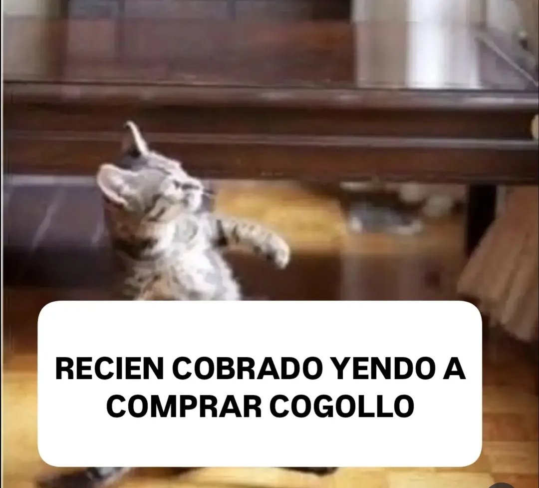 sony__toprano's tweet photo. FOKIN PAGARON Y MAÑANA TENGO FRANCO https://t.co/BsQCzUeLqw