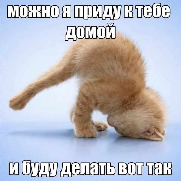 L0l_Theo's tweet photo. разрешите? https://t.co/0gw3dDq3zw