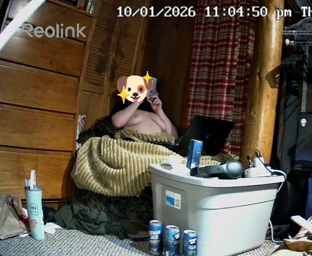 S3RVICEMUTT's tweet photo. oomfie wanted puppy tits on cam so we got puppy tits on cam :3 https://t.co/ZA292Xmfl4