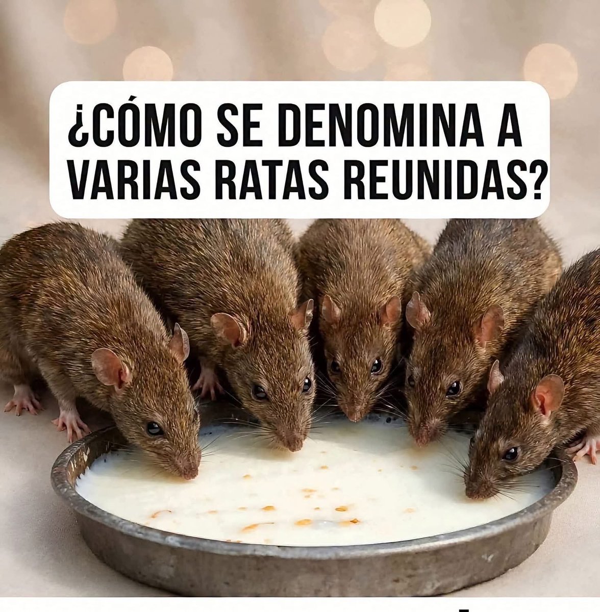 linajimenez59's tweet photo. @mario_dico50 https://t.co/bAZG4lz3ei