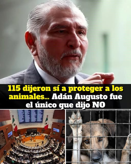 GARCIPAVON's tweet photo. Así las cosas, el N@rcoDraculín dijo que no 😒