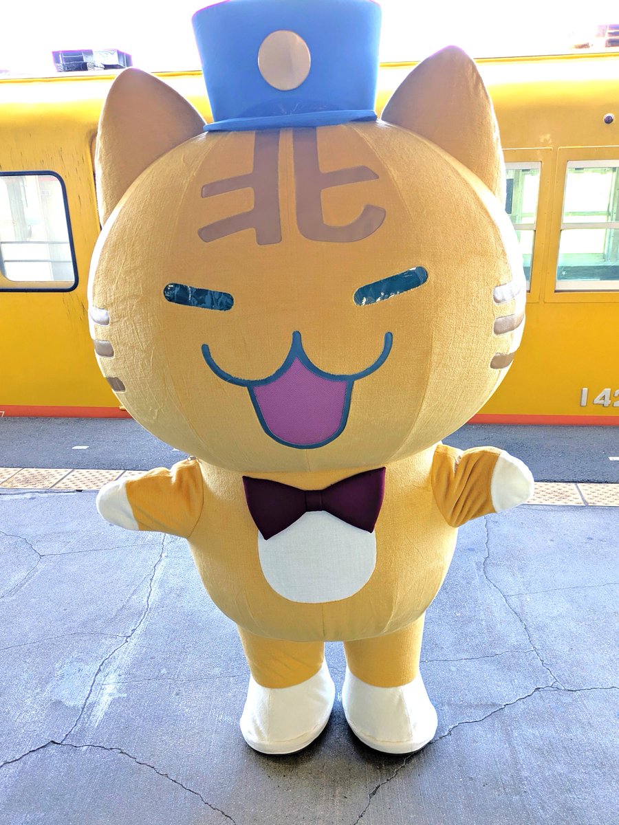 hokuseiNazotabi tweet picture