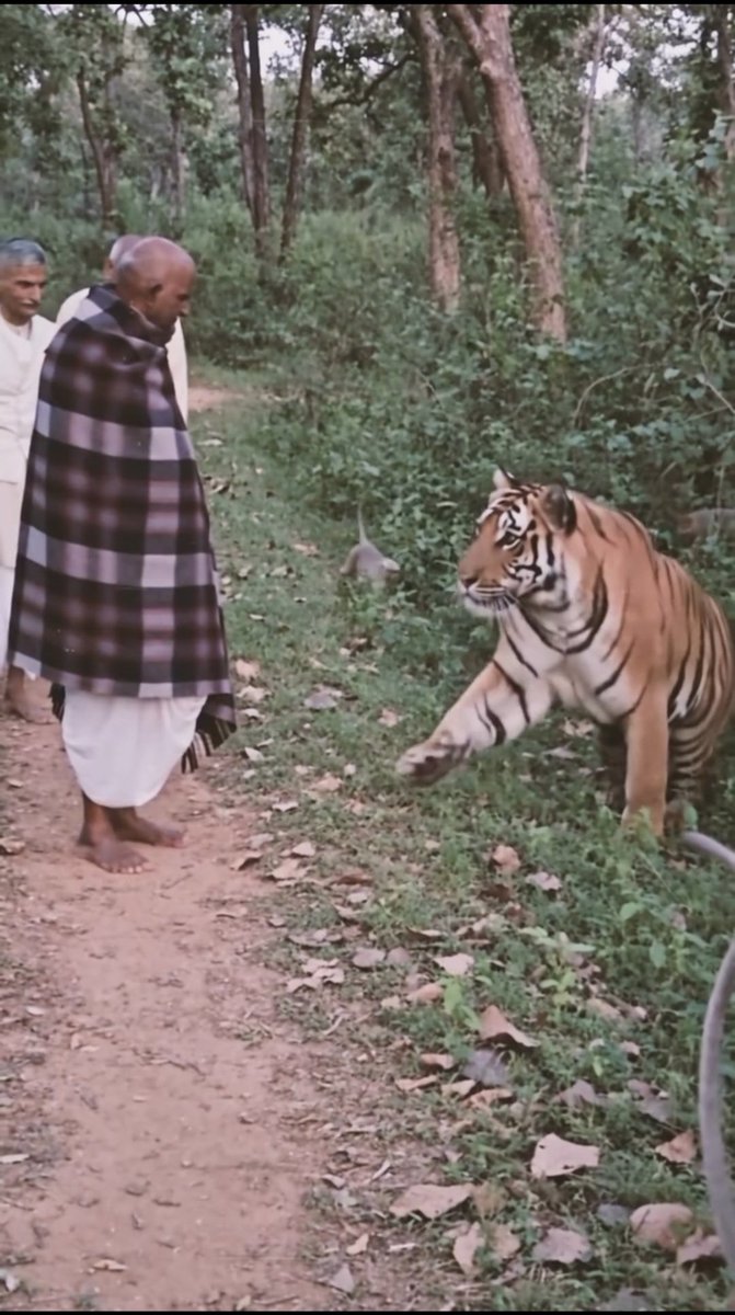 ImJPramodY's tweet photo. कुछ तो शक्ति रही होगी बाबा नीम करोली महाराज जी में!

तभी तो इंसान ही नहीं ये बेजुबान जानवर भी जैसे बाबा की ओर खिंचे चले आते थे। 

कोई बाबा जी का आशीर्वाद लेने आता था तो कोई उनके चरणों के पास बैठकर सुकून पाता था। 

और आज जब महज ₹2 करोड़ के बजट में बनी एक फिल्म ₹500 करोड़ से ज्यादा की कमाई कर सुपरहिट हो जाती है तो भक्तों के लिए ये सिर्फ संयोग नहीं बाबा नीम करोली महाराज जी का आशीर्वाद और कृपा महसूस होती है। 

कहते हैं ना जहाँ बाबा करोली की कृपा हो वहाँ असंभव भी संभव हो जाता है।