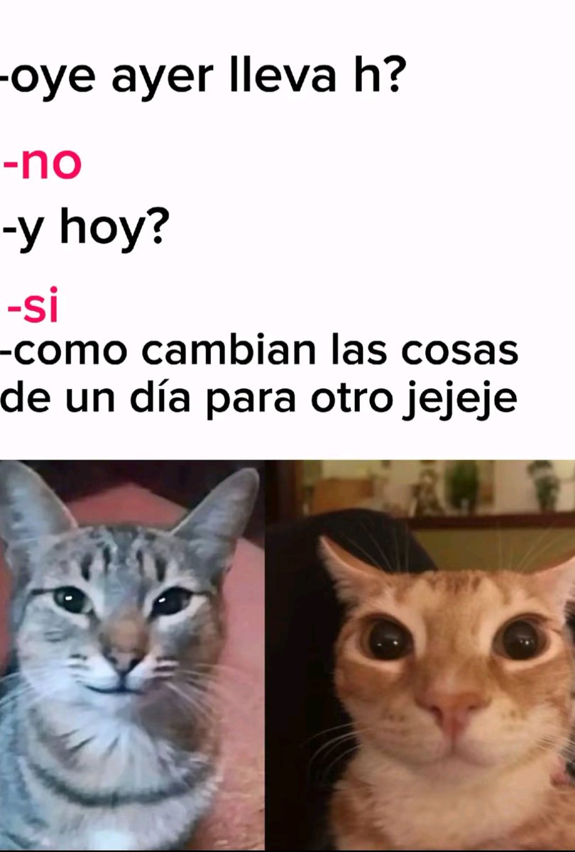 DriffterNexz's tweet photo. Jeje, me rei jeje https://t.co/E5VnQH6Zgw