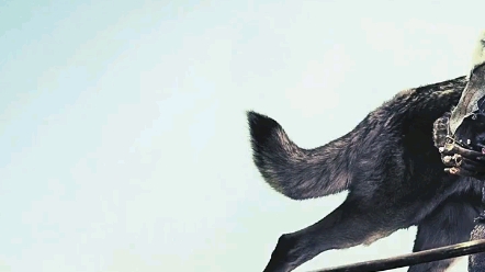 r_castil_277's tweet photo. [I wiped the satin-like fabric, and a wolf suddenly stood before me—what a surreal moment!]， https://t.co/6qgbSaMuYA