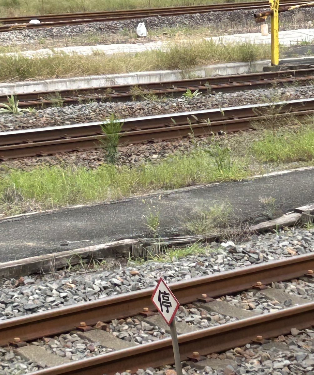 hatakatu2020's tweet photo. 田舎駅で上り電車を待つ。都会の駅のように頻繁に電車が来るわけでない。ぼんやりと空や線路に生えた草を眺めて時間を潰す。

#五行歌
#詩
#移住
#還暦
#田舎暮らし
#スローライフ https://t.co/pKWHHvHYdz