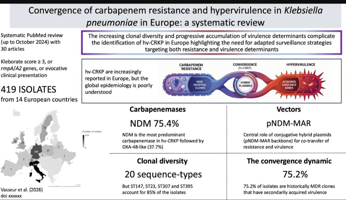 ABsteward's tweet photo. The convergence of hypervirulence and carbapenem resistance in Klebsiella pneumoniae (hv-CRKP) is an emerging public health threat!
🆕💥🟢Systematic review from Europe 
🔺NDM carbapenemase predominate, often linked to hybrid plasmids.
🔺Genotype-phenotype discordance complicates detection and supports enhanced surveillance
🔺hv-CRKP isolates were identified in 14 European countries, with major epidemic clusters reported in Italy and Germany
🔺Diagnosis remains challenging because no single method reliably identifies hv-CRKP
🔺Clinical presentation therefore remains a critical alert signal, particularly in severe or unusually invasive infections
https://t.co/Y4GHBjVzXr
