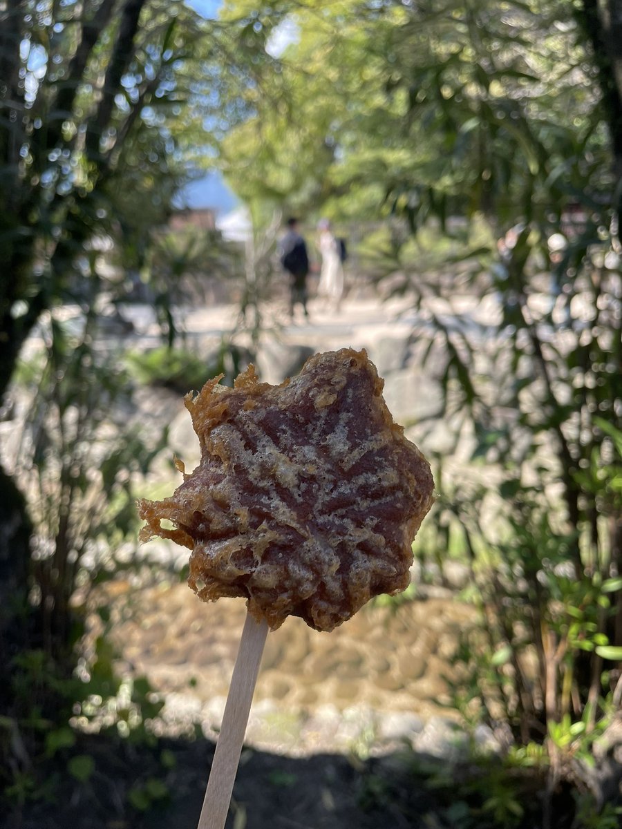 foolishegg_'s tweet photo. 昨日は(右代)宮島だった！🏝️
天気は絶好調じゃけぇ超満足！！😎
(でも戦人も持ってきてばよかったな……😓) https://t.co/ah41rwKMNA