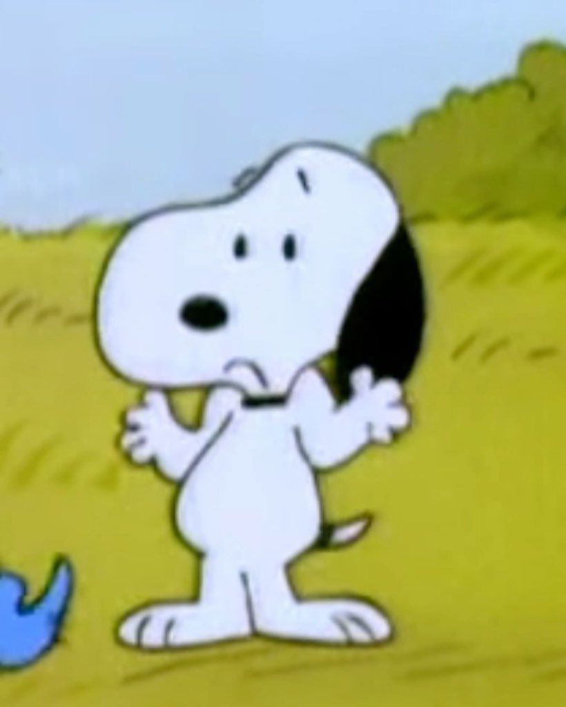 daiIy_snoopy's tweet photo. snoopy image of the day https://t.co/ESkFNJz2b7