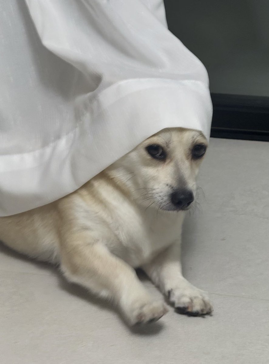 twaniimals's tweet photo. https://t.co/ZyUPGvpYxG