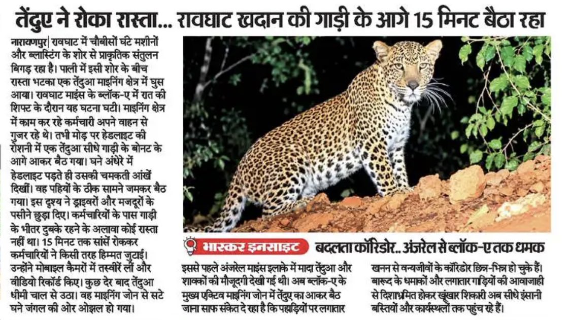 thealokputul's tweet photo. बस्तर में खनन जारी है.

रावघाट के इलाके की इस खबर के अनुसार खदान की गाड़ी के सामने तेंदुआ 15 मिनट तक बैठा रहा.

हजारों साल पुराने अपने घर के तहस-नहस और हमेशा के लिए खत्म होने का दुख उससे बेहतर कौन जानता होगा ! https://t.co/v86DIHxstl