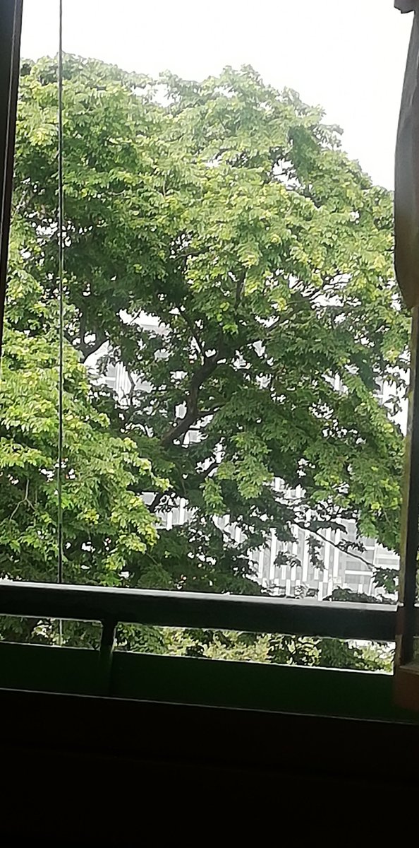 jenote_ tweet picture