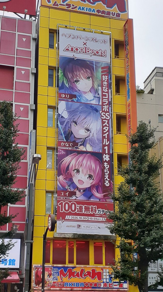 potoridae's tweet photo. CLANNAD！？
AB！？
平成秋葉原かよ https://t.co/EArbzlxpnC