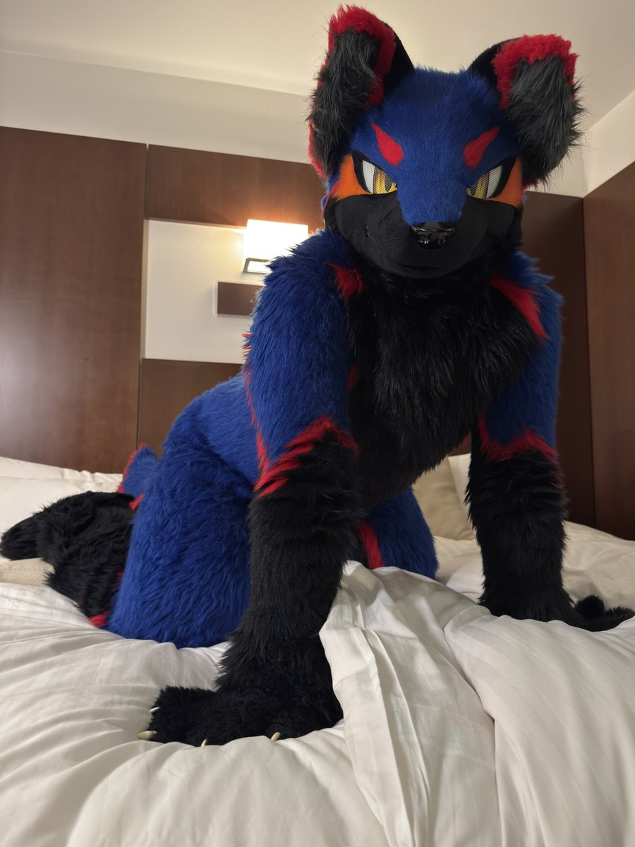 mikimiki_EG's tweet photo. お泊りってわくわくするね…！

#FursuitFriday
#REVSHOT https://t.co/omE8PNpRnQ